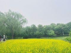 -北坞公园