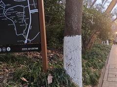 -马灯部落·西湖边的创意山景餐厅(虎跑动物园店)