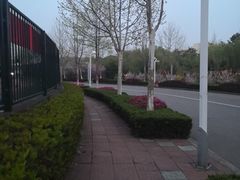 -鸽屋咕咕咕(金銮大厦店)