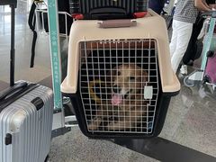 -厦门高崎国际机场-T3航站楼