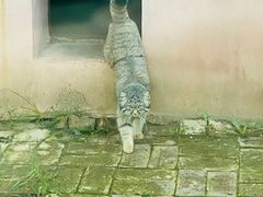 -青藏高原野生动物园