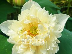 -云溪植物园