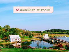 -大塘金香草谷