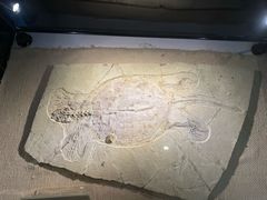 -房山世界地质公园博物馆