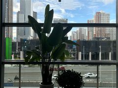 -木嘛working coffee(前海店)