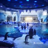 上海海昌公园