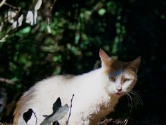 -敬亭山风景名胜区