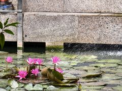 -东江渔村·古典园林·30年粤菜老字号(太和店)