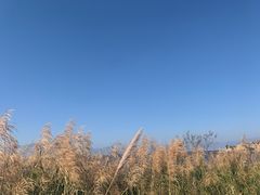 -抚仙湖禄充风景区