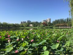-青城公园