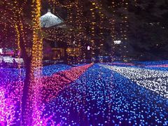 -横店影视城梦幻谷园区