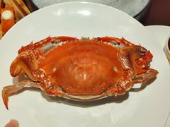 -古京·臻致料理(月湖店)