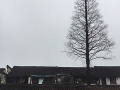 -乌镇东栅景区