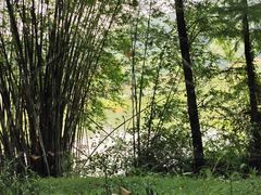 -番禺大夫山森林公园