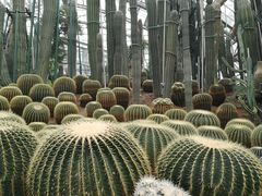 -南山植物园
