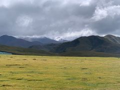-祁连山草原