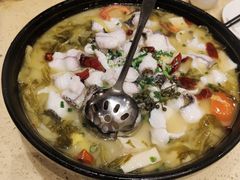 -正哥点心皇子(锦江国际广场店)