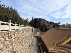 -遵化市禅林寺古银杏风景园