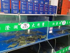 -阳澄湖大闸蟹·琼灵阁牌品牌连锁(吴中总店)