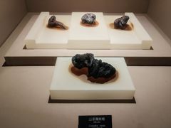 -河姆渡遗址博物馆