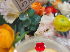 容器-奈雪的茶(石家庄万象城店)