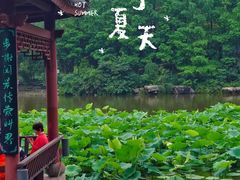 -龙头寺公园