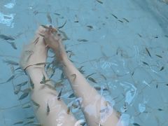 -郑州银基黄帝宫御温泉