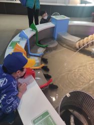 -北京科学中心儿童乐园