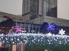 -蜀大侠火锅(寰球文化地标·总府店)