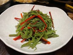 炝拌沙松尖-滇野云南野生菌餐厅(陕西南路店)