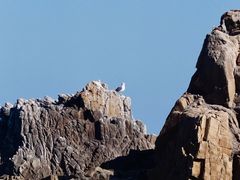 -小麦岛公园
