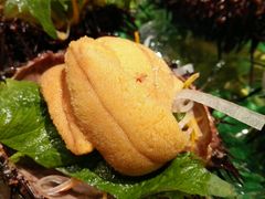 android_upload_pic-眞日本料理