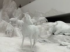 -中国湿地博物馆