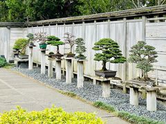 -汉庭顿图书馆