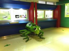 -上海昆虫博物馆