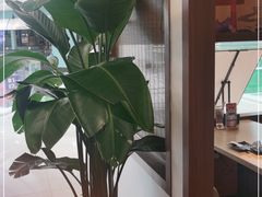 -沼津港精致料理·寿喜烧·烧鸟(青浦宝龙广场日料榜单店)