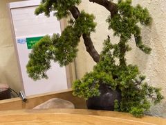 -李记茶油鸭(河西店)