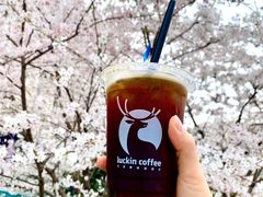 冰美式-瑞幸咖啡(东城汇店)