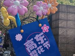 -高东镇樱花园