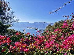 -南诏风情岛