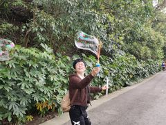 -贵阳市花溪国家城市湿地公园