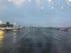 -谢列梅捷沃国际机场