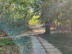 -元大都城垣遗址公园