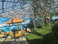 -鄂尔多斯野生动物园