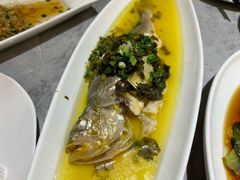 雪菜蒸深海大黄鱼-老绍兴养和饭店(向阳不夜城店)