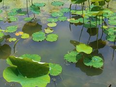 -湖南湘都生态农业园