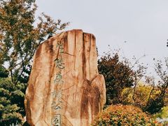 -昆山城市生态森林公园