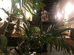 -MIMO CAFE(沙头角店)