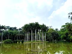 -中国科学院西双版纳热带植物园