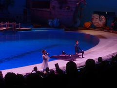 -华夏文旅海洋公园